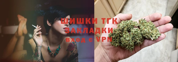 дживик Краснослободск