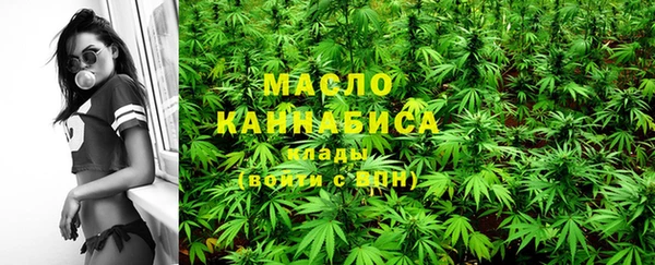 дживик Краснослободск