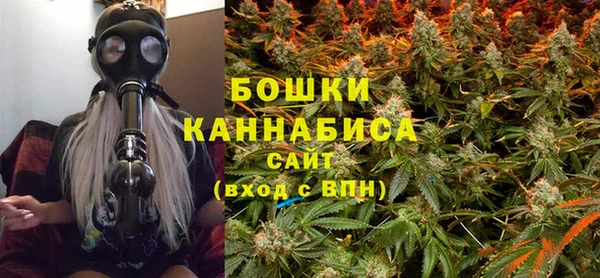 дживик Краснослободск