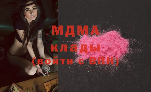 дживик Краснослободск