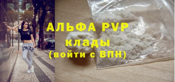 дживик Краснослободск